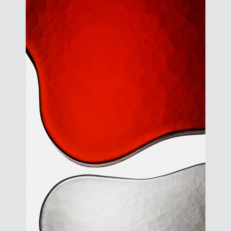 Lily II Print by Robin Broadbent