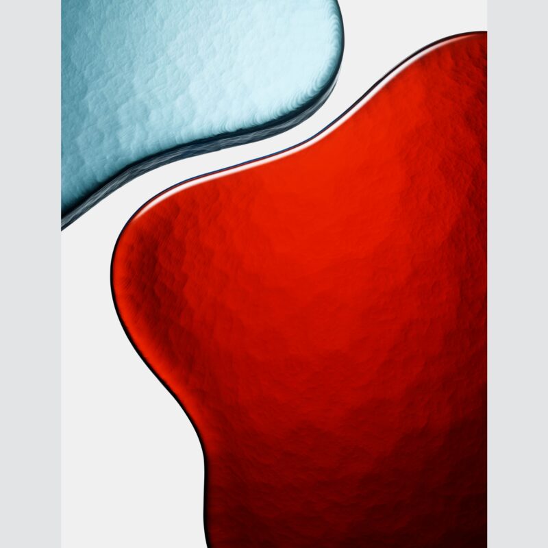 Lily I Print by Robin Broadbent