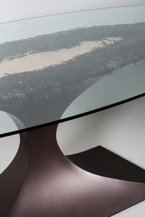 Capricorn-feathers-2