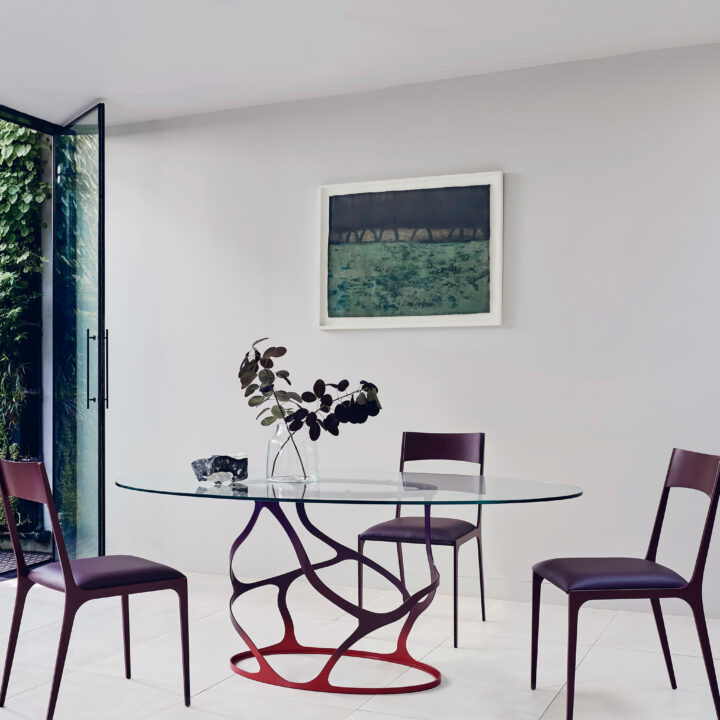 Papillon-oval-dining-Jak-chairs-3