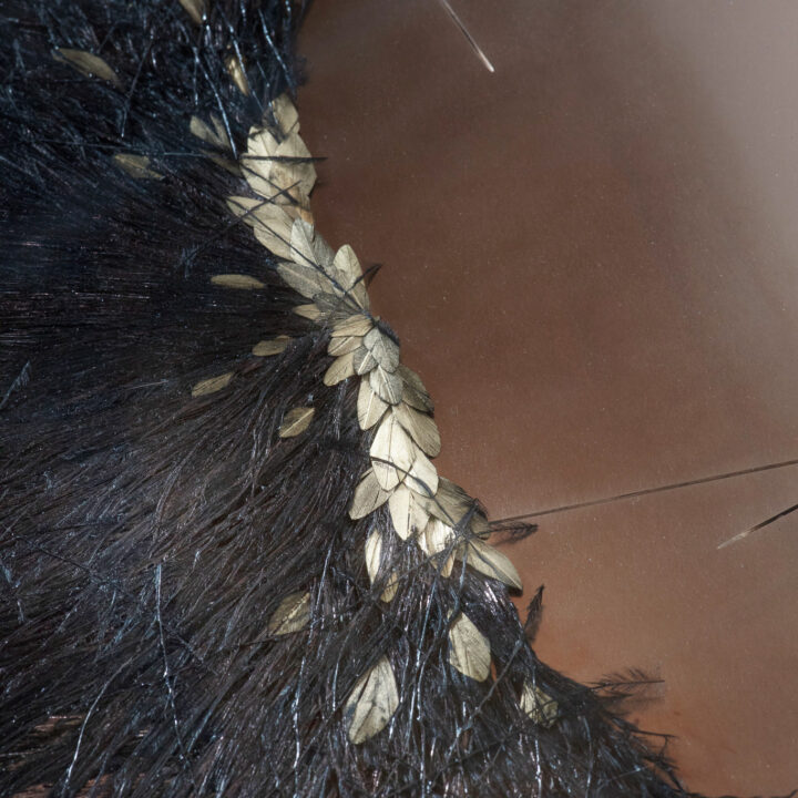 Tom_F_Sale_jan_19-35